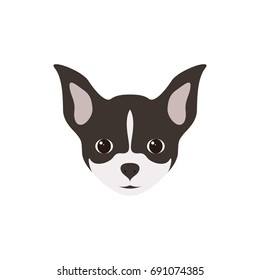 Portrait of Chihuahua Puppy. Simple Dog. Vector illustration.
