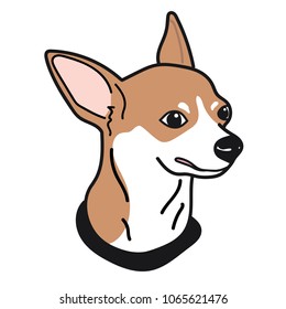 portrait of chihuahua short hair on White Background,Vector illustration