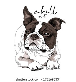 Retrato de un divertido perro de Boston Terrier. Salto - cita con letras. Tarjeta de humor, composición de camisetas, impresión a mano. Ilustración vectorial.