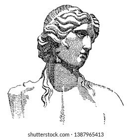 Portrait of the classical Greek and Roman deity. It is known as Apollo and is one of the most important and complex of the Olympian deity in Greek and Roman mythology, vintage line drawing