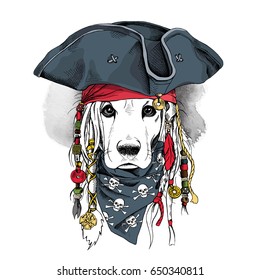 Portrait of a Cocker Spaniel dog in Pirate hat, bandana and with a dreadlocks. Vector illustration.