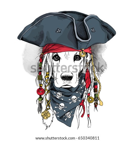 Portrait of a Cocker Spaniel dog in Pirate hat, bandana and with a dreadlocks. Vector illustration.