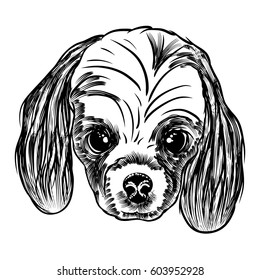 Portrait of Cocker Spaniel doggy. Hand drawn dog illustration. T- shirt and tattoo concept design in black white. Vector.