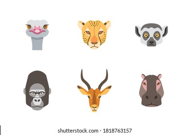 portrait collection of african wild animal isolated on white background flat vector illustration