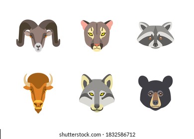 Portrait collection of north american wild animal isolated on white background flat vector illustration