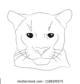 portrait of a cougar drawing lines, vector, white background