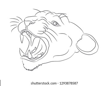 portrait of a cougar drawing lines, vector, white background