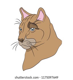 portrait of a cougar, vector, white background