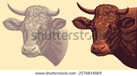 Portrait of a Cow. Editable hand drawn illustration. Vector vintage engraving. Isolated on light background. 8 EPS