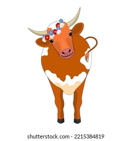 portrait of a cow with horns, a flower wreath on the horns of a brown cow with white spots. vector illustration