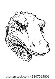 Retrato de cocodrilo. Ilustración dibujada a mano. Vector
