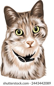 retrato de un gato lindo y adorable