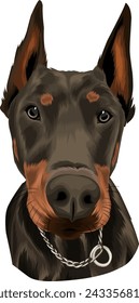 portrait of a cute and adorable dog