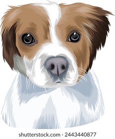 portrait of a cute and adorable dog