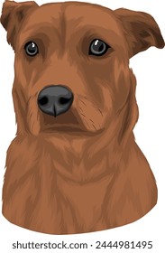 portrait of a cute and adorable dog