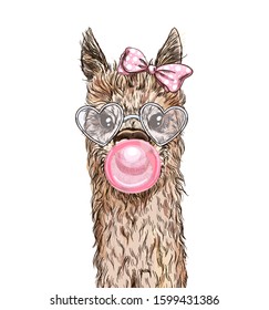 Portrait of the cute alpaca with pink bubble gum, sunglasses and pink bow, hand drawn vector illustration