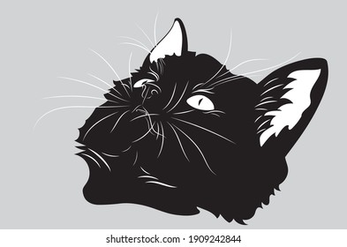 Retrato de un lindo gatito negro buscando ilustración.