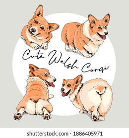 Portrait of a cute Dogs. Set of Funny Characters. Welsh Corgi in a different poses. Hand drawn style print. Vector illustration.