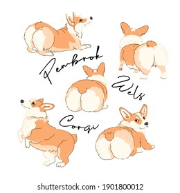 Portrait of a cute Dogs. Set of Funny Characters. Pembroke Welsh Corgi in a different poses. Hand drawn style print. Vector illustration.