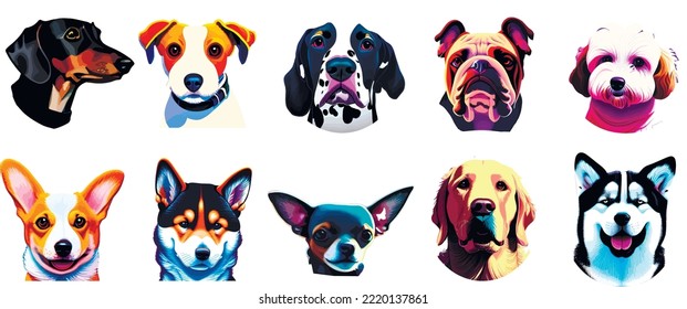 Portrait of cute dogs. Set of vector illustrations. Dalmatian, Labrador, Husky, Bulldog, Doberman, Shiba Inu, Akita, Corgi, Chihuahua, Dachshund