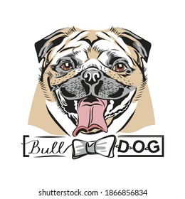 Portrait of a cute English bulldog with a butterfly. Vector illustration of a dog with text on a sign