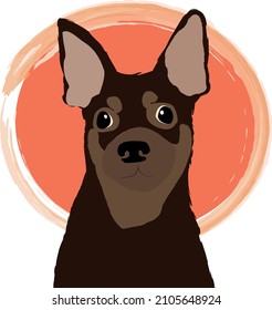 Portrait of a cute English Toy Terrier dog