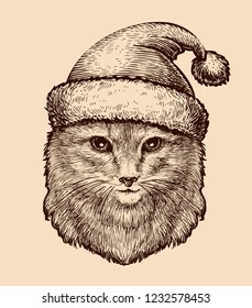 Portrait of a cute fluffy cat in a Christmas hat. Sketch vintage vector illustration
