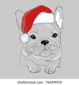 Portrait of cute french bulldog in red christmas hat on blue background. 