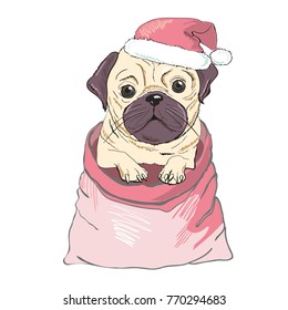 Portrait of cute french bulldog in red christmas hat on blue background. Vector illustration. 