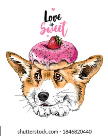 Portrait of a cute funny Corgi dog with pink Donut and Strawberry. Love is sweet - lettering quote. Humor card, t-shirt composition, hand drawn style print. Vector illustration.