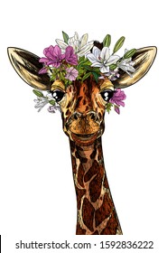 Portrait of cute giraffe with flowers on his head, full color realistic sketch, hand drawn vector illustration