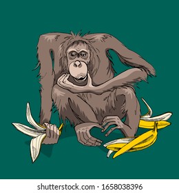 Portrait of a Cute Monkey with the banana skins. Funny Cartoon Characters. Humor card, t-shirt composition, hand drawn style print. Vector illustration.