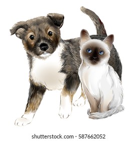portrait of the  cute puppy and thai kitten. Cat and dog are friends.