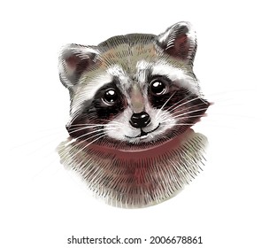 Portrait of a cute raccoon. Color watercolor illustration on a white background.