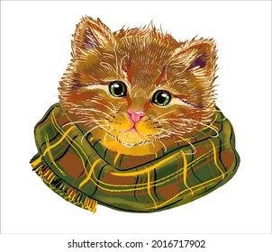 Portrait of a cute red kitten in a big cozy green scarf. Illustration in the style of retro realism, a sketch by hand.