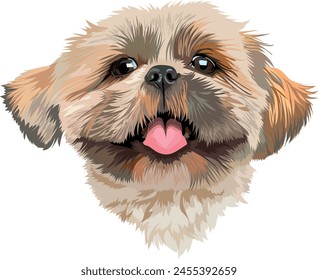 Portrait of a cute Shih Tzu dog with tongue hanging out