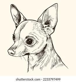 Portrait of cute small dog. Hand drawn vector illustration