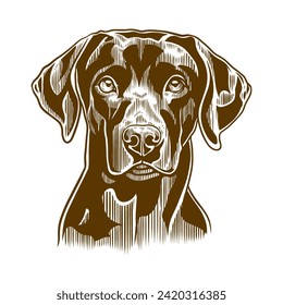 portrait of a dachshund dog	
