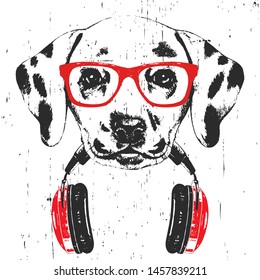 Portrait of Dalmatian with glasses and headphones. Hand-drawn illustration. T-shirt design. Vector