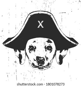 Portrait of Dalmatian with a pirate hat. Vector. 