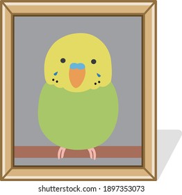 Portrait of a deceased parakeet. Vector illustration isolated on white background.