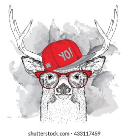 Portrait of deer with glasses and in hip-hop hat. Vector illustration.