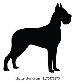 Portrait of Deutsche dogge vector illustration isolated. Beware of dog. Friendly family dog.