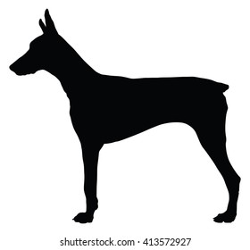 German Shorthaired Pointer Silhouette Vector Stock Vector (Royalty Free ...