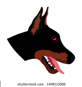 Portrait of Doberman Pincher vector illustration isolated.  German military guardian dog, for detecting smuggling drugs. Beware of dog.