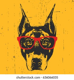 Portrait of Doberman Pinscher with glasses. Hand drawn illustration. T-shirt design. Vector