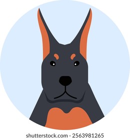 Portrait of a dobermann pinscher dog breed gazing forward within a light blue circle, featuring a clean and minimalist vector graphic design that emphasizes its elegance and strength