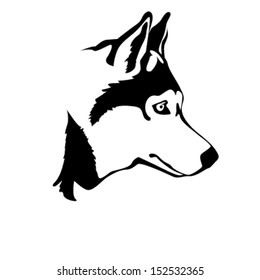 portrait of Dog