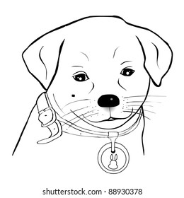 Portrait of dog