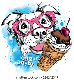 Portrait of a dog Australian shepherd wearing glasses with the ice cream. Vector illustration.